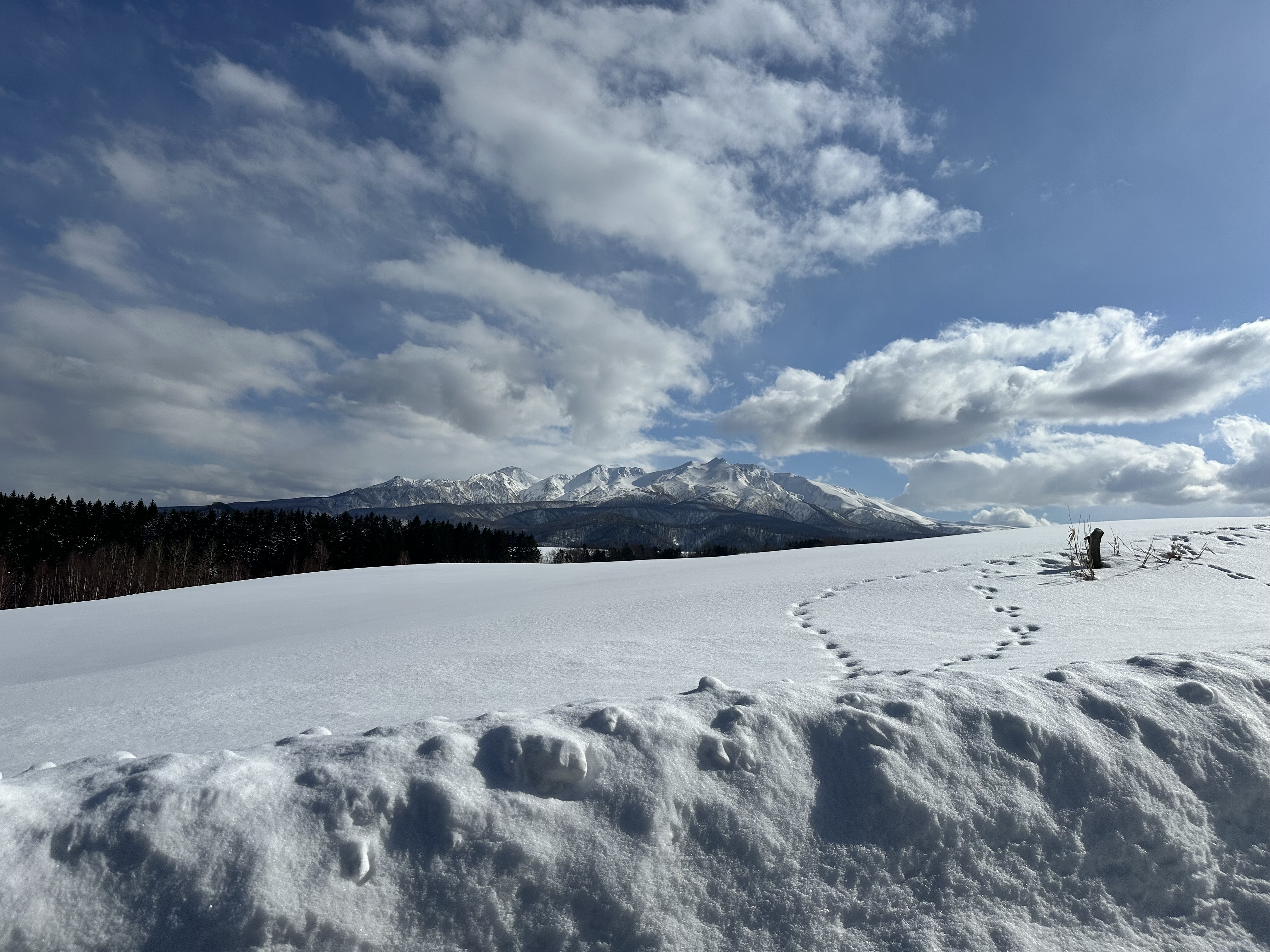 雪原に残る足跡と遠くに見える冬の上川岳